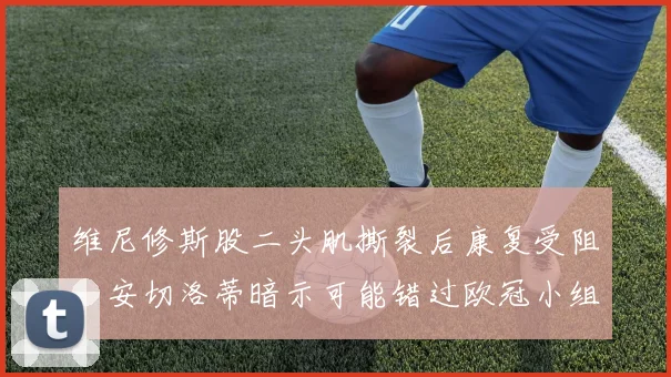 维尼修斯股二头肌撕裂后康复受阻,安切洛蒂暗示可能错过欧冠小组赛?
