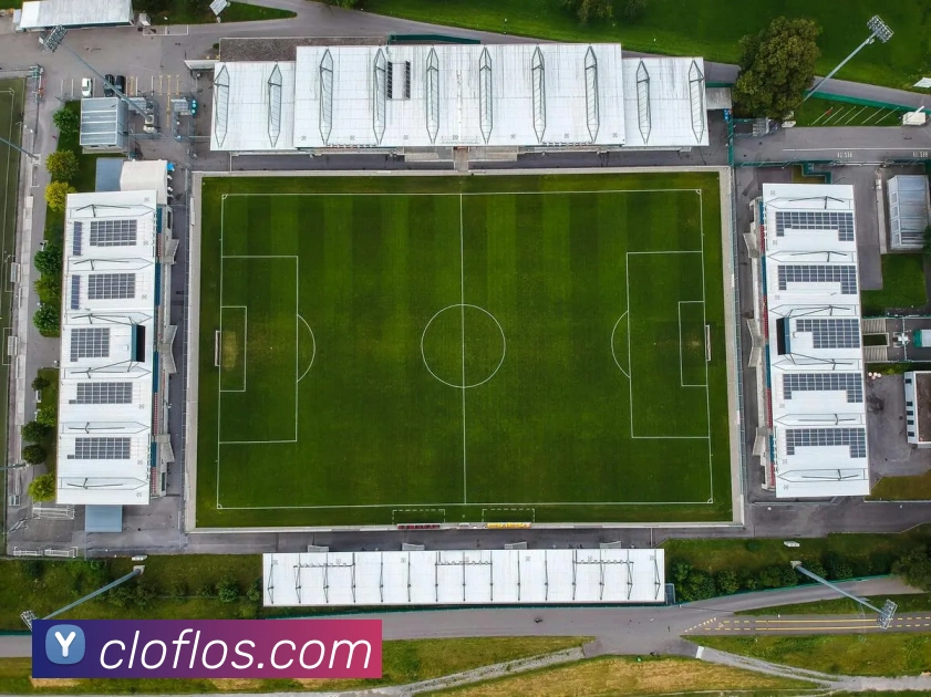 电竞数据